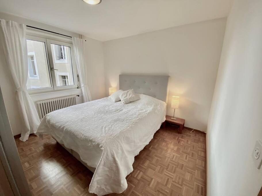 Comfortable, Very Well Located Between Train Station And Lake! لوزان المظهر الخارجي الصورة